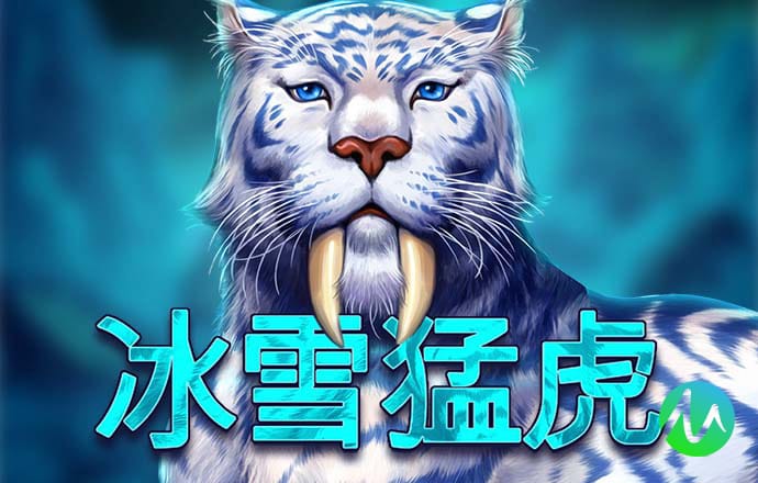 澳门今晚一肖必中特